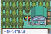 《口袋妖怪：水银2.5中文版》下载地址发布 原创剧情改版