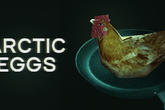 《Arctic Eggs》Steam页面上线